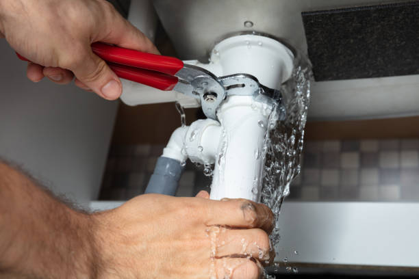 Best Flood damage cleanup  in Underwood Petersville, AL