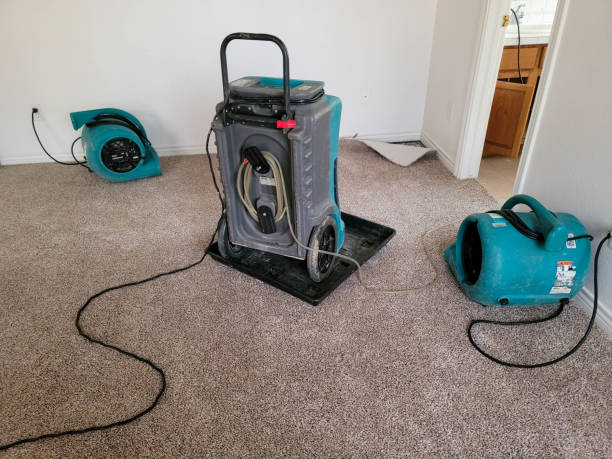 Best Ceiling water damage repair  in Underwood Petersville, AL