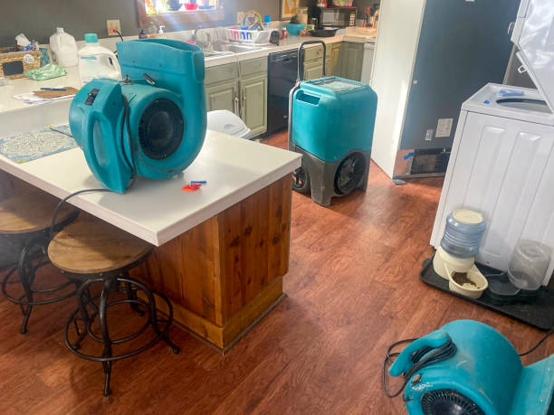 Best Sewage cleanup and water damage restoration  in Underwood Petersville, AL