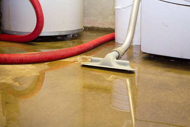 Best Flooded house restoration  in Underwood Petersville, AL
