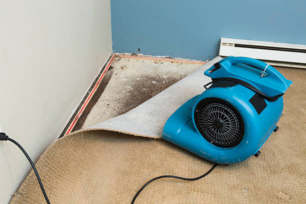 Water damage restoration experts in Underwood Petersville, AL